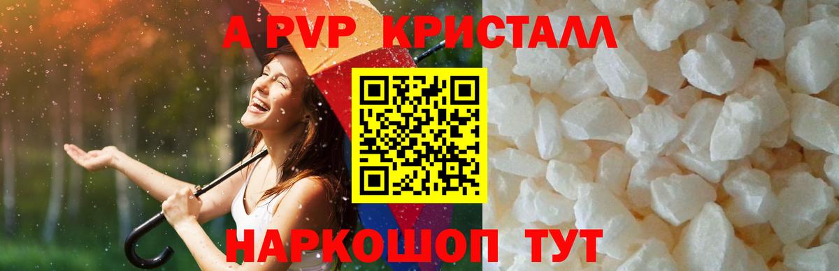 Альфа ПВП СК КРИС  APVP СК КРИС  Кызыл  Вход с VPN 