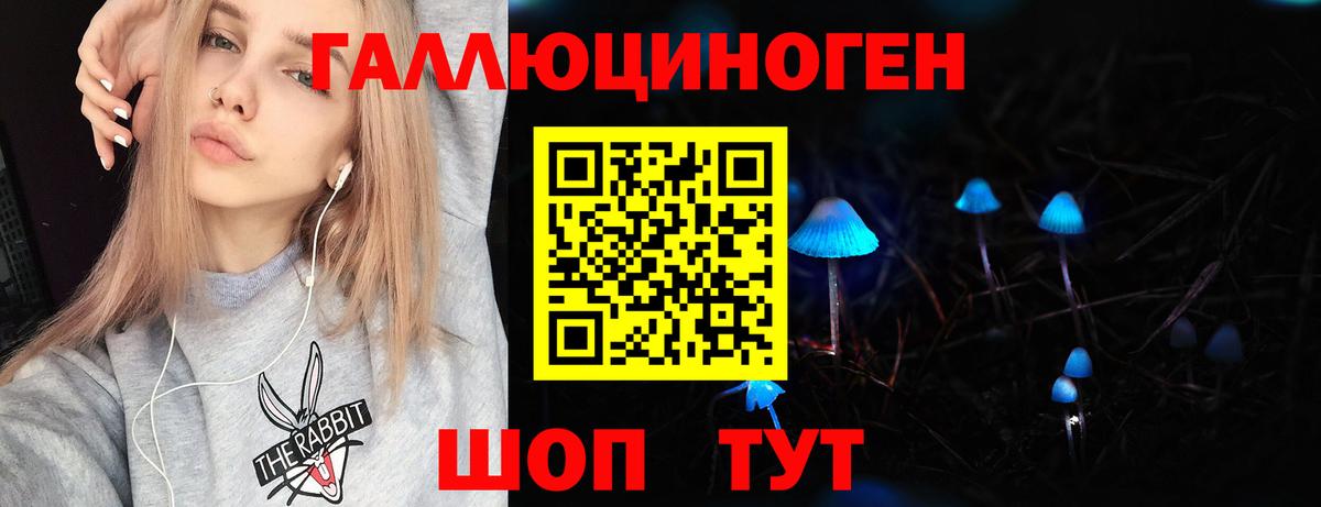 Кызыл  Псилоцибиновые грибы Psilocybine cubensis  Вход с VPN 