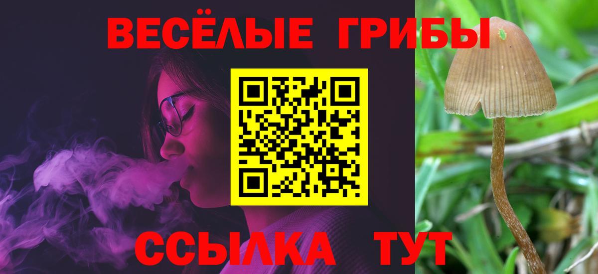 Псилоцибиновые грибы прущие грибы Кызыл